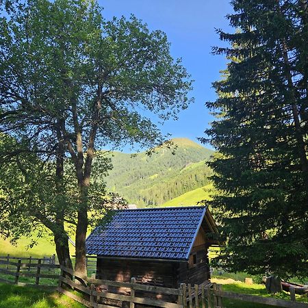 Kinder- Und Familienhotel Nockalm Innerkrems Luaran gambar
