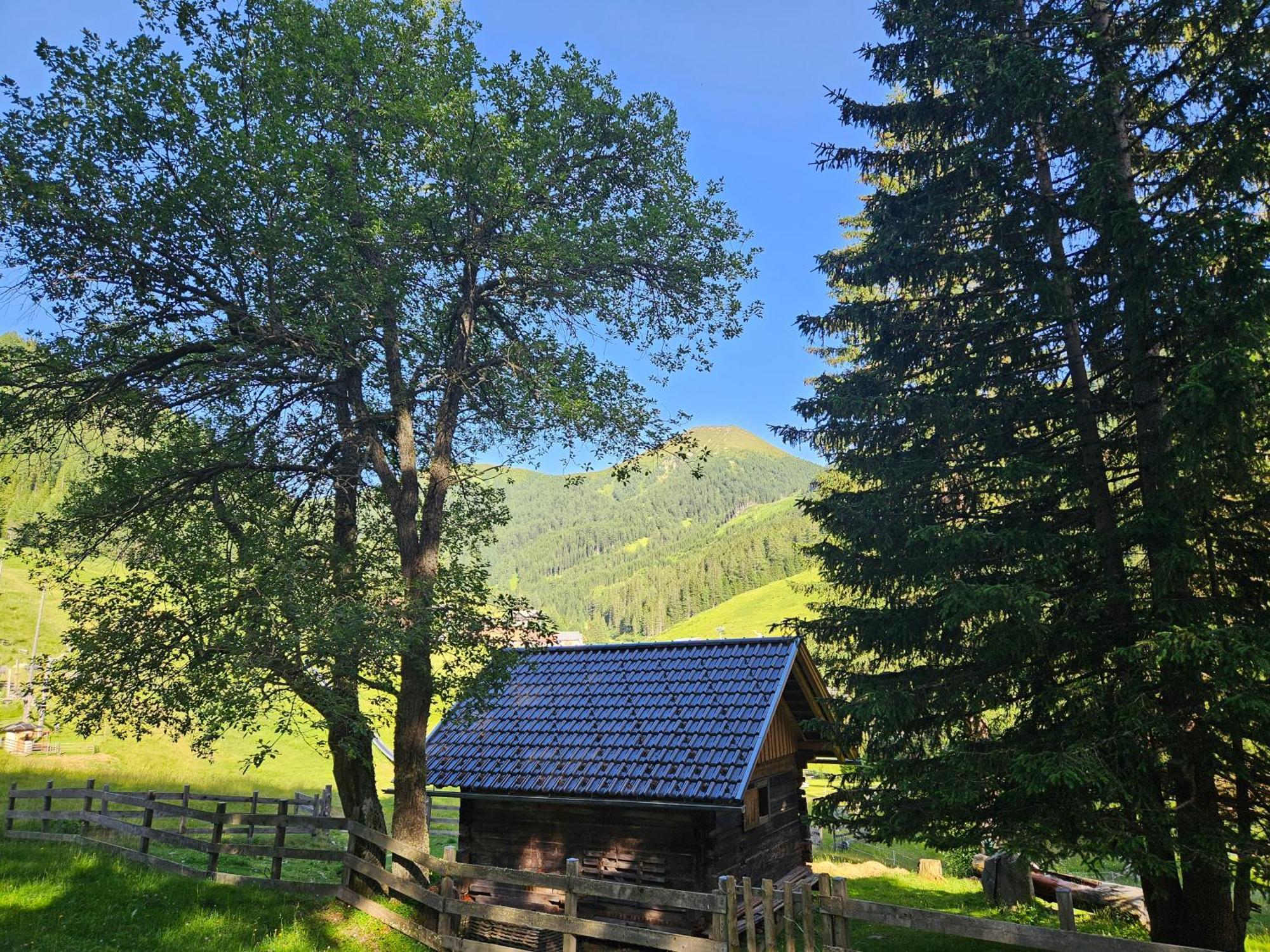 Kinder- Und Familienhotel Nockalm Innerkrems Luaran gambar
