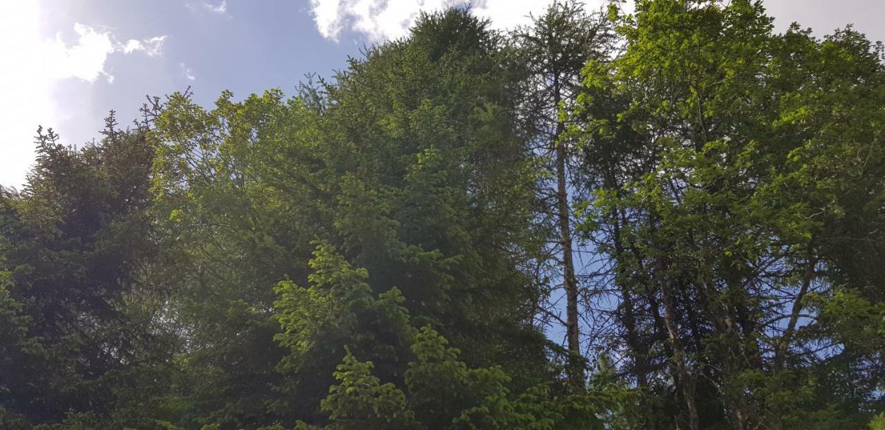 Kinder- Und Familienhotel Nockalm Innerkrems Luaran gambar